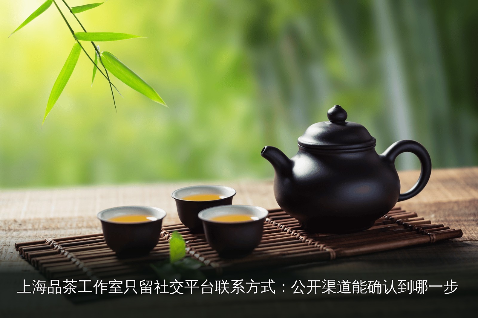 品茶素材｜020｜茶席与茶具